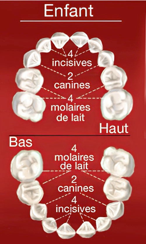 informations générales dentaires Guilherand Granges